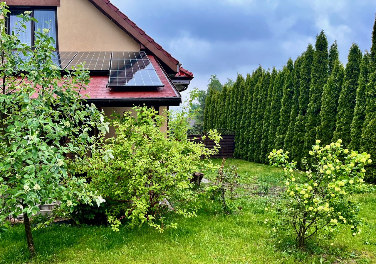 Blog pilax.pl - gdy w ogrodzie pada